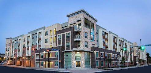 Arlington - Masta Logistics Group Llc Texas 1808779